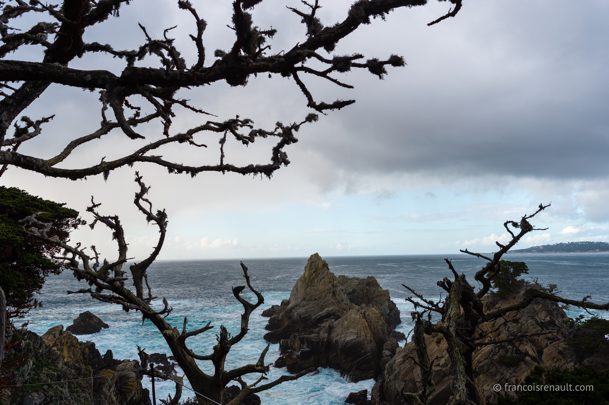 Point Lobos State Reserve, Carmel-by-the-Sea, Californie, USA.